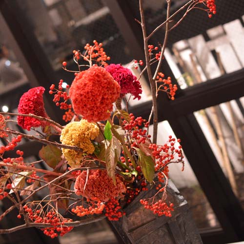 ikebana_live